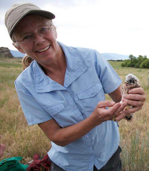 A white woman with grayish-blonde hair wearing a baseball hat and glasses holds a baby kestrel