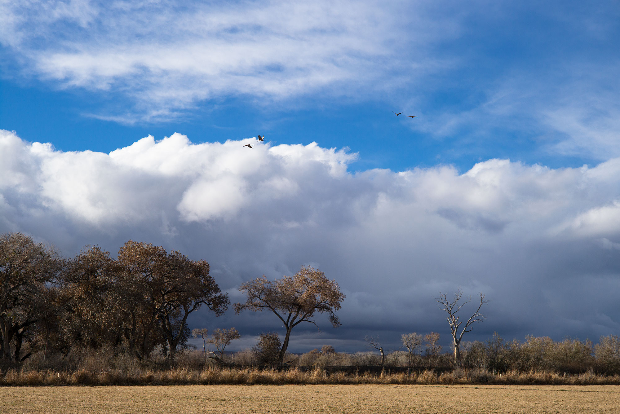 A cloudy sky with birds flying over a field.