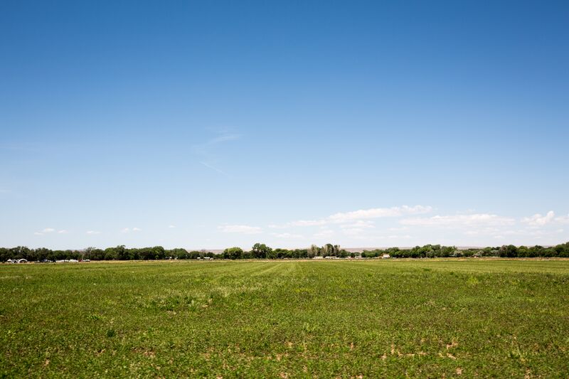 A green field with a blue sky in the background.