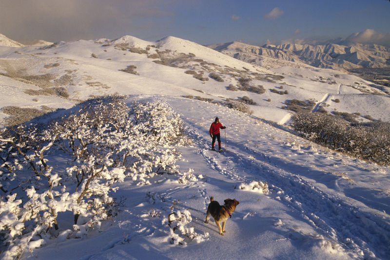 A person and a dog on a snow covered hill.