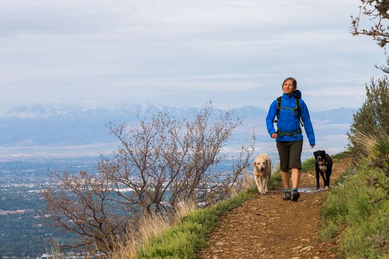 A woman walking her dogs on a trail with mountains in the background.