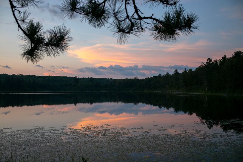 Sunset over a lake with pine trees in the background.