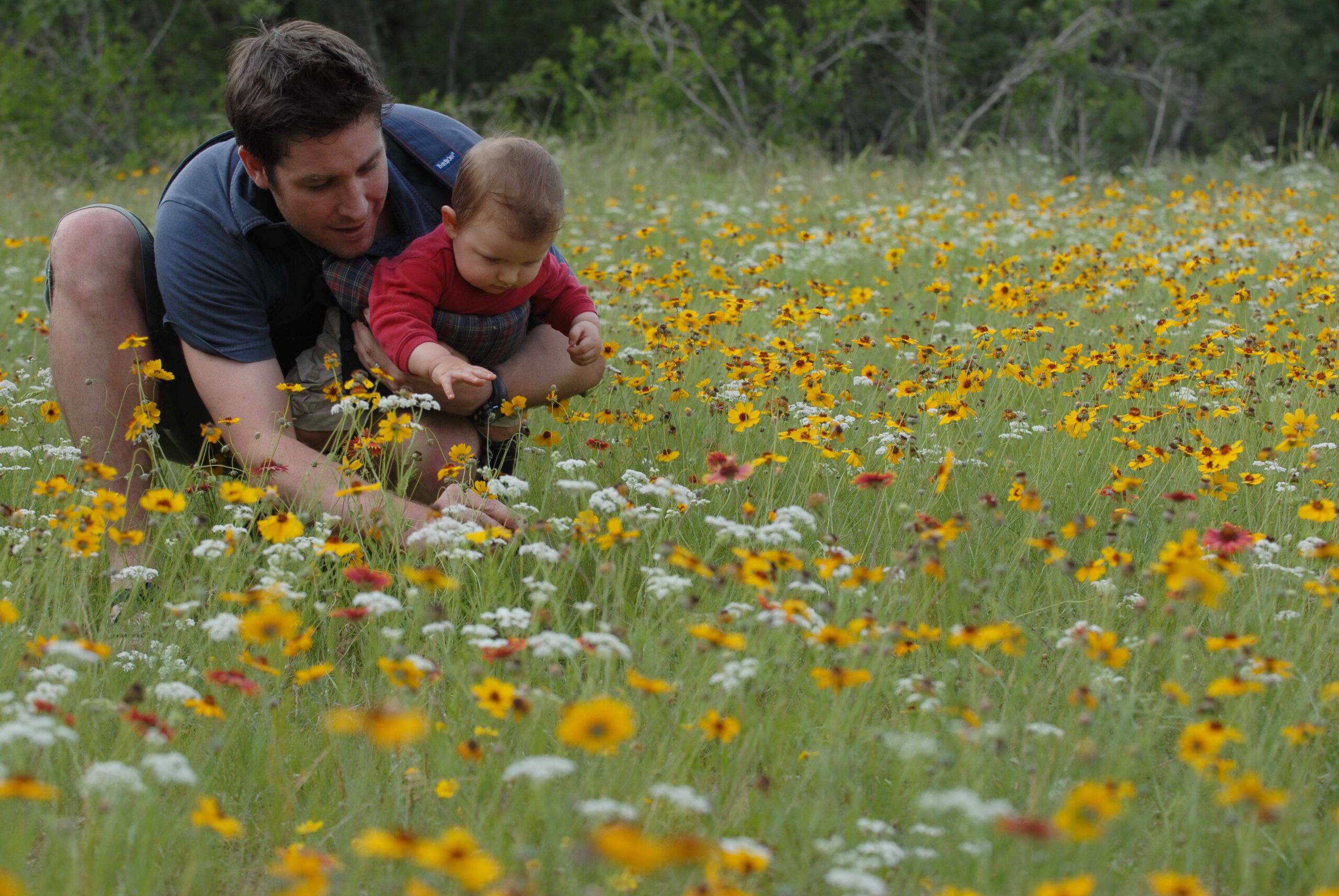 A man and a child in a field of wildflowers.