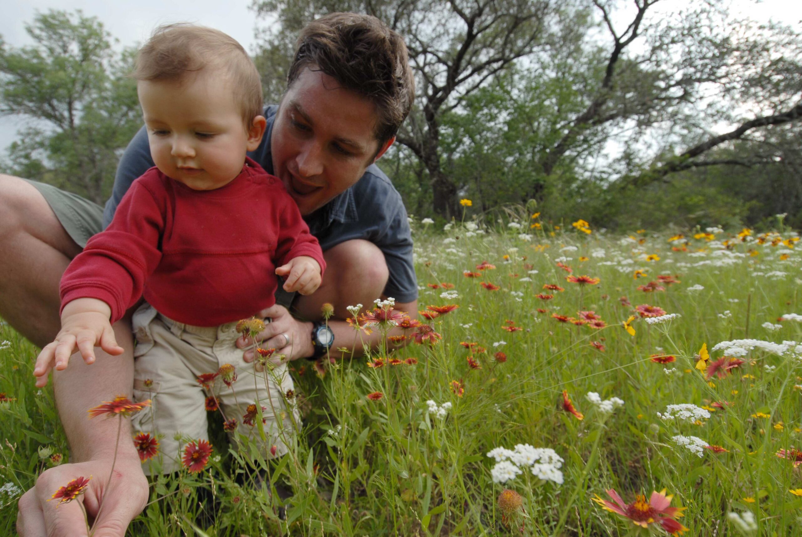 A man and a baby in a field of wildflowers.
