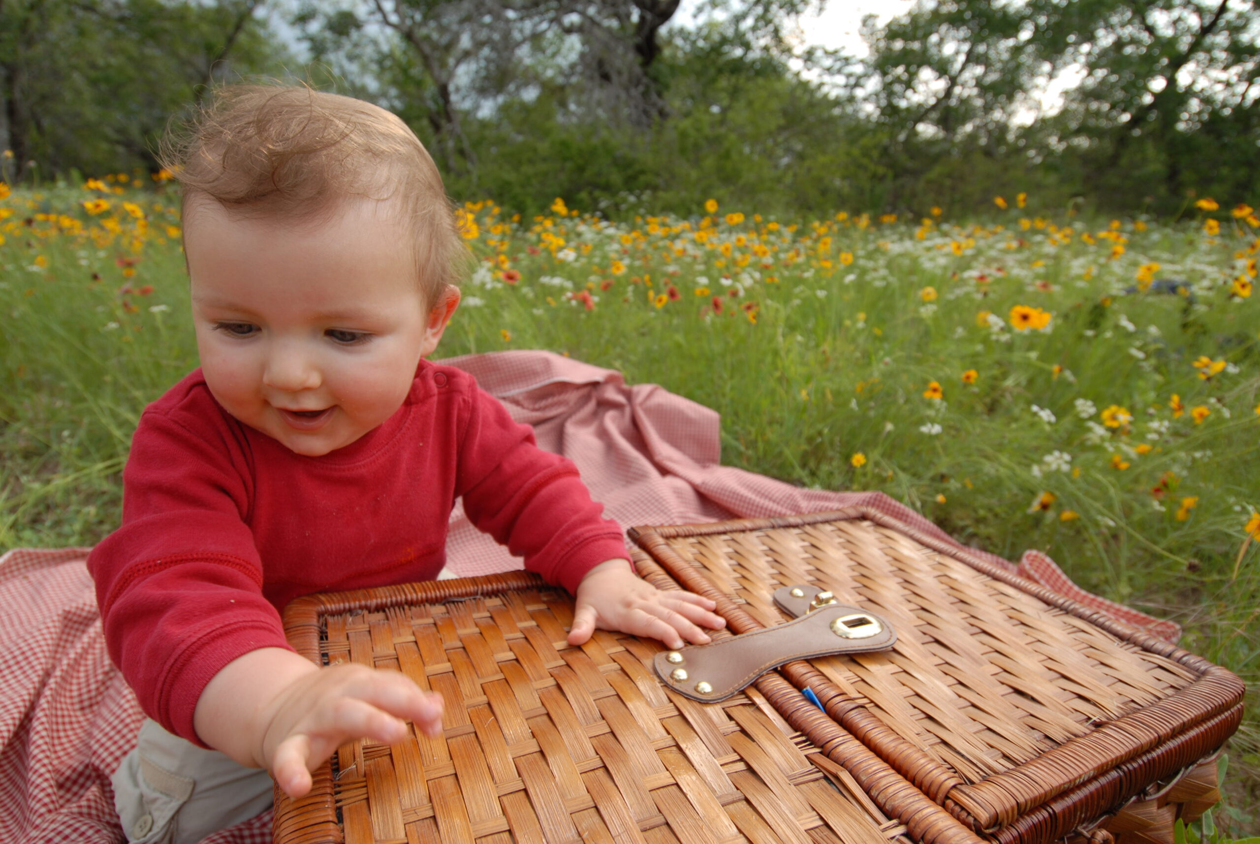 A baby playing with a wicker basket in a field.