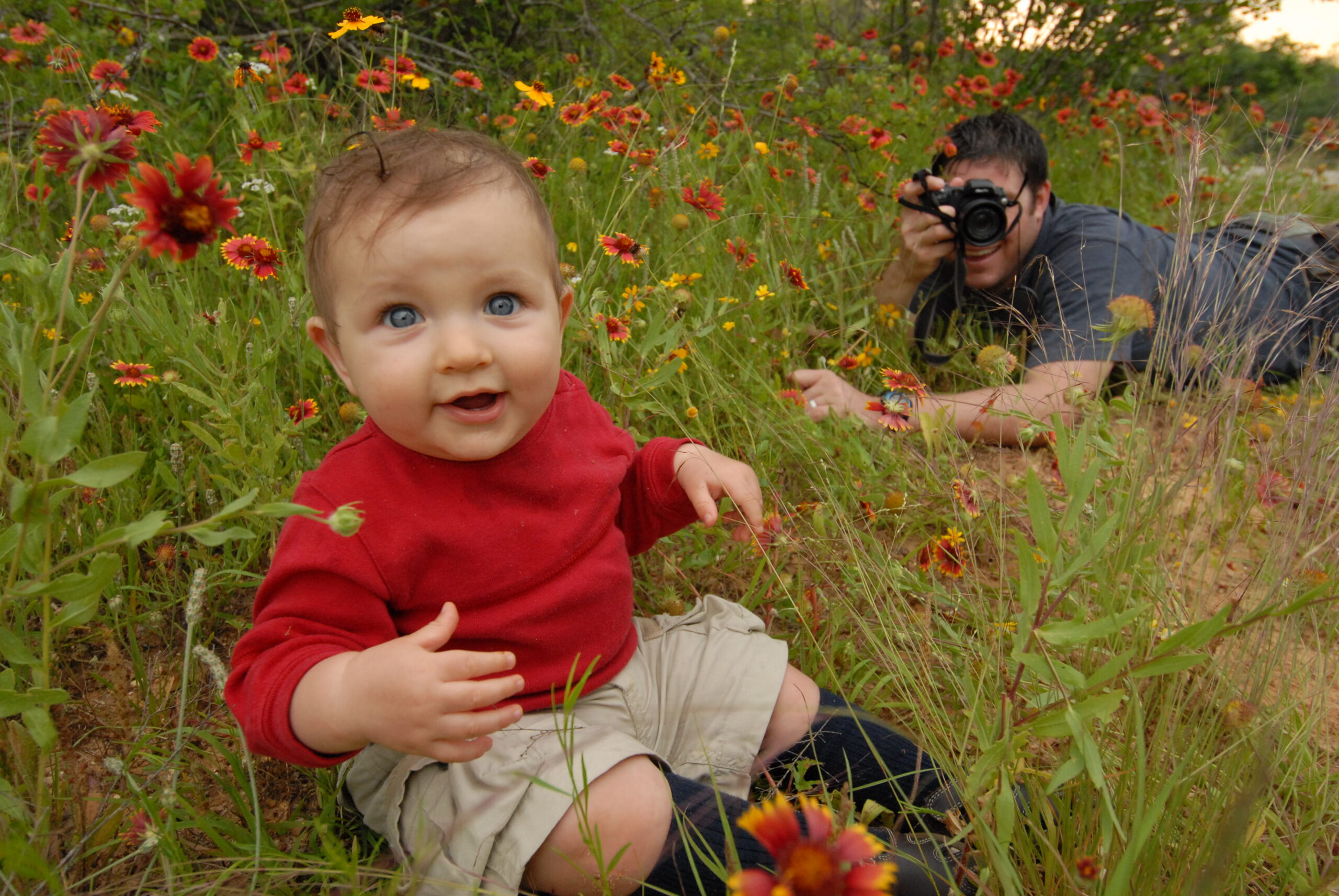 A baby in a field of flowers with a man taking pictures.