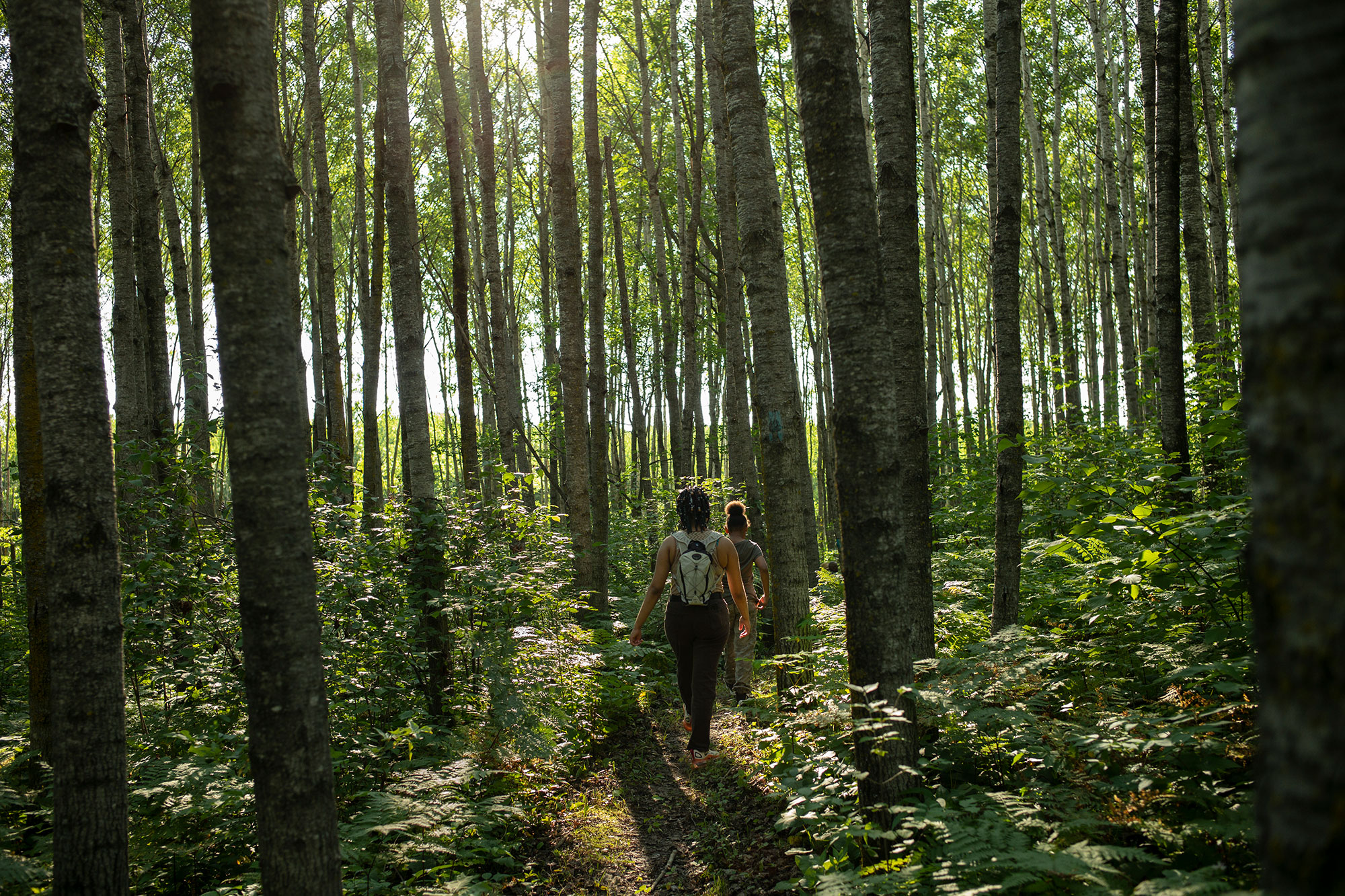 A person walking through a forest.