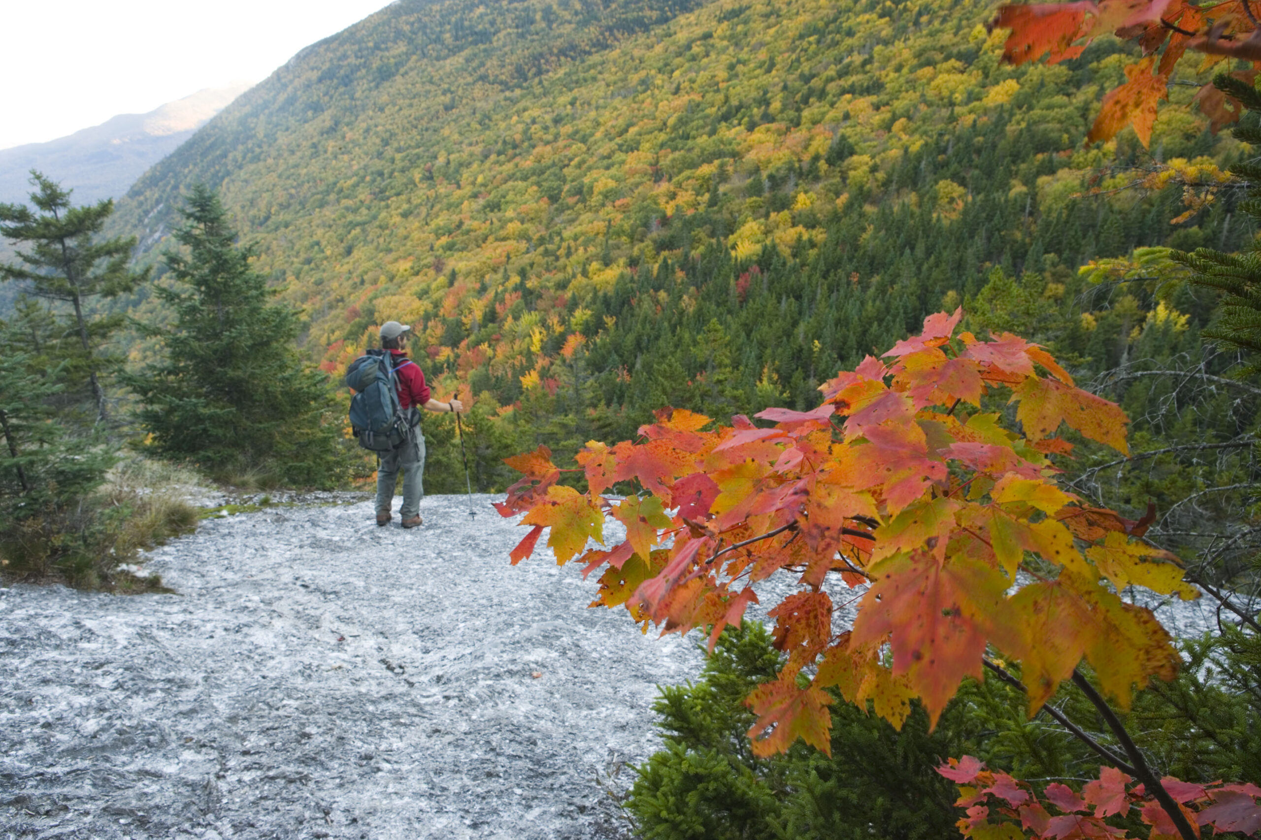 A hiker walking along a trail with autumn leaves in the background.