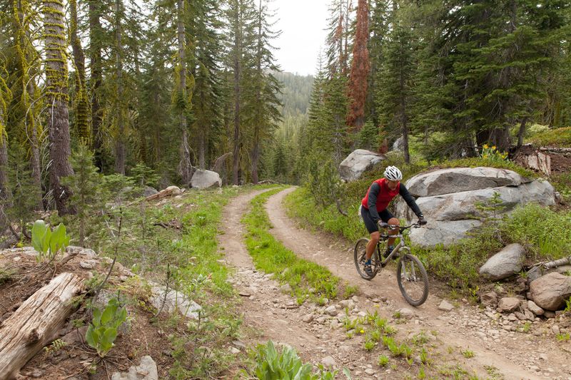 Man rides a mountain bike on a dirt road in a forest