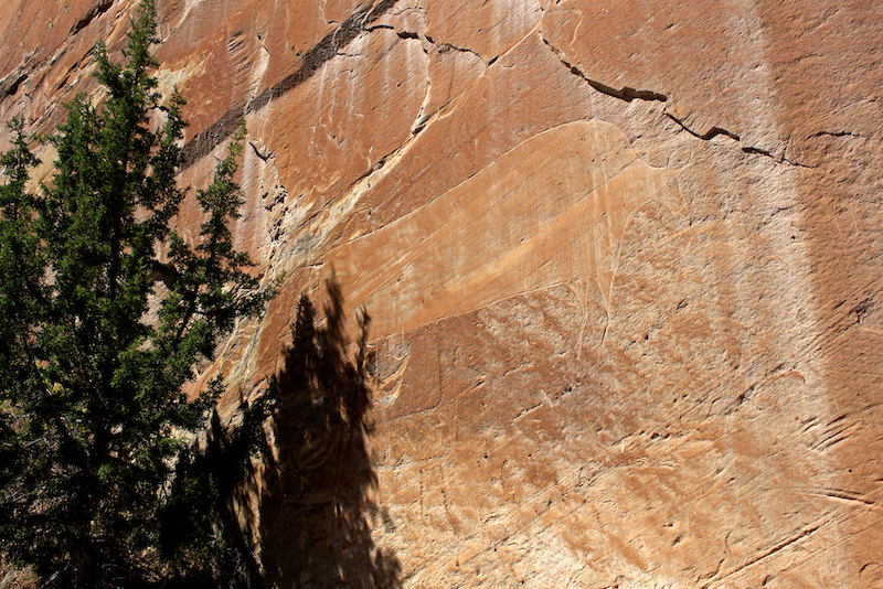 A bison petroglyph on a canyon wall at Dinosaur National Monument