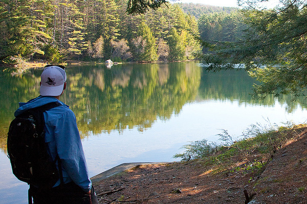 A man stands next to a lake in a forest