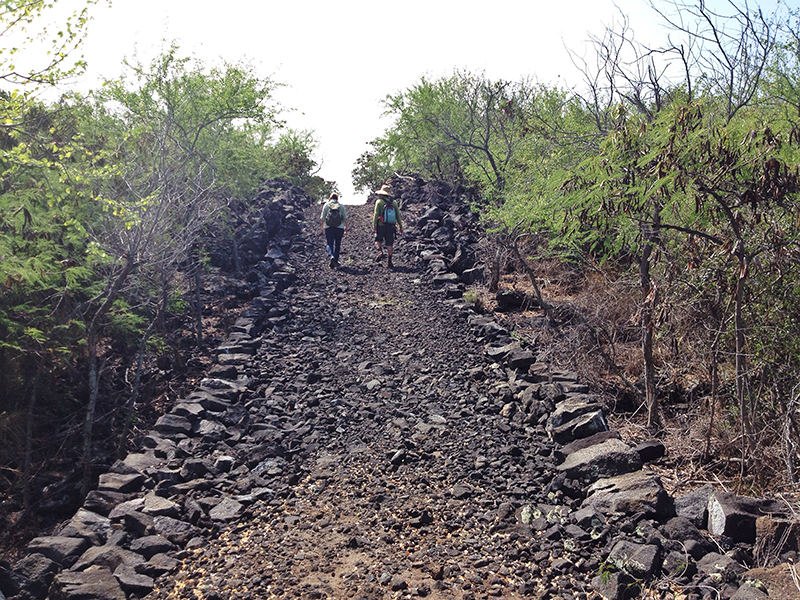 Two hikers walk along a rocky trail