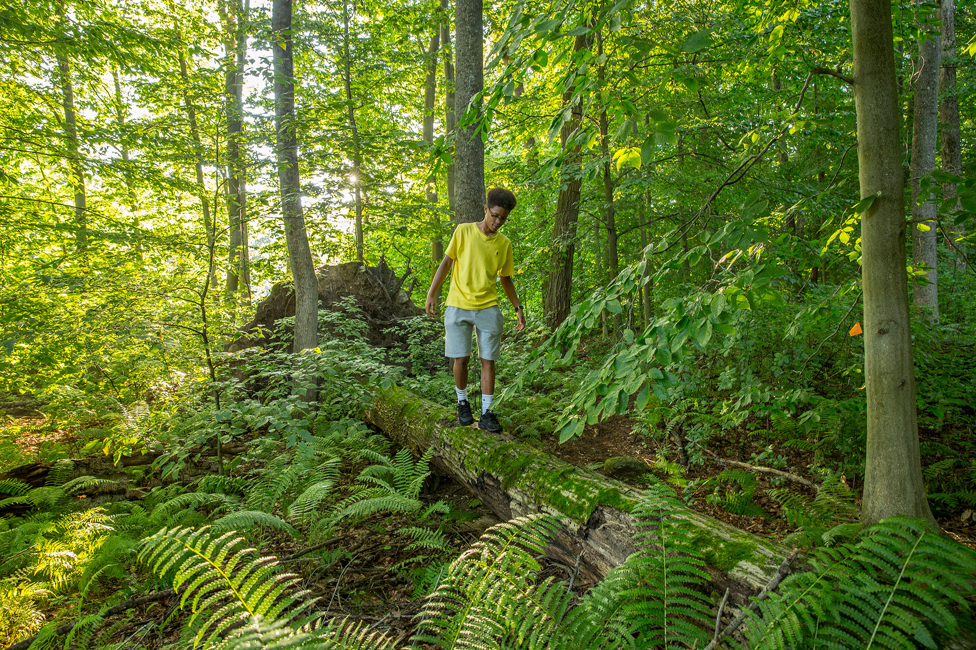 A young boy standing on a log in the woods.