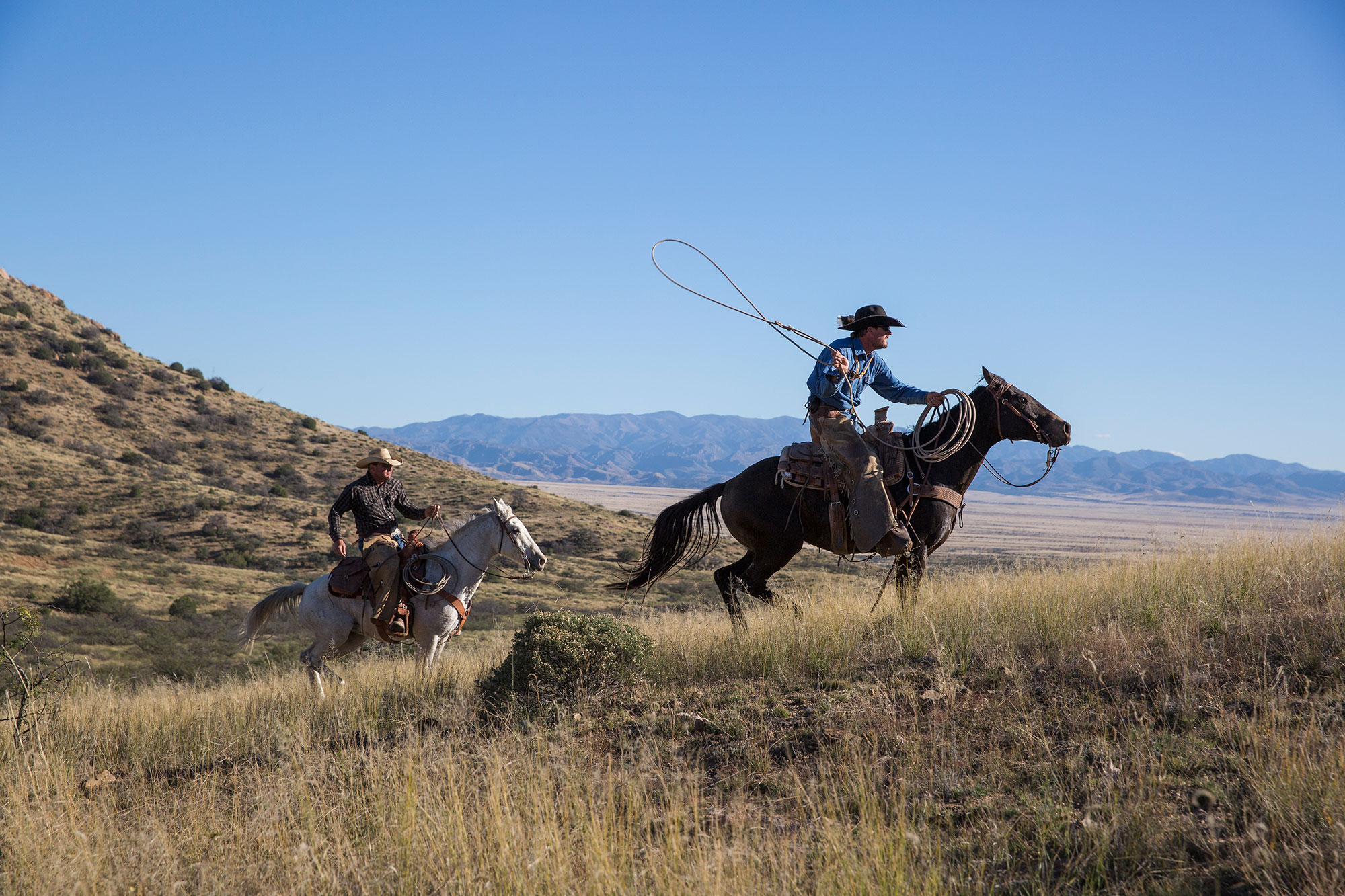 Two cowboys riding horses in a grassy field.