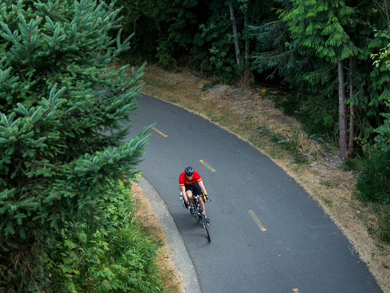 A cyclist rides on a bike trail through the woods