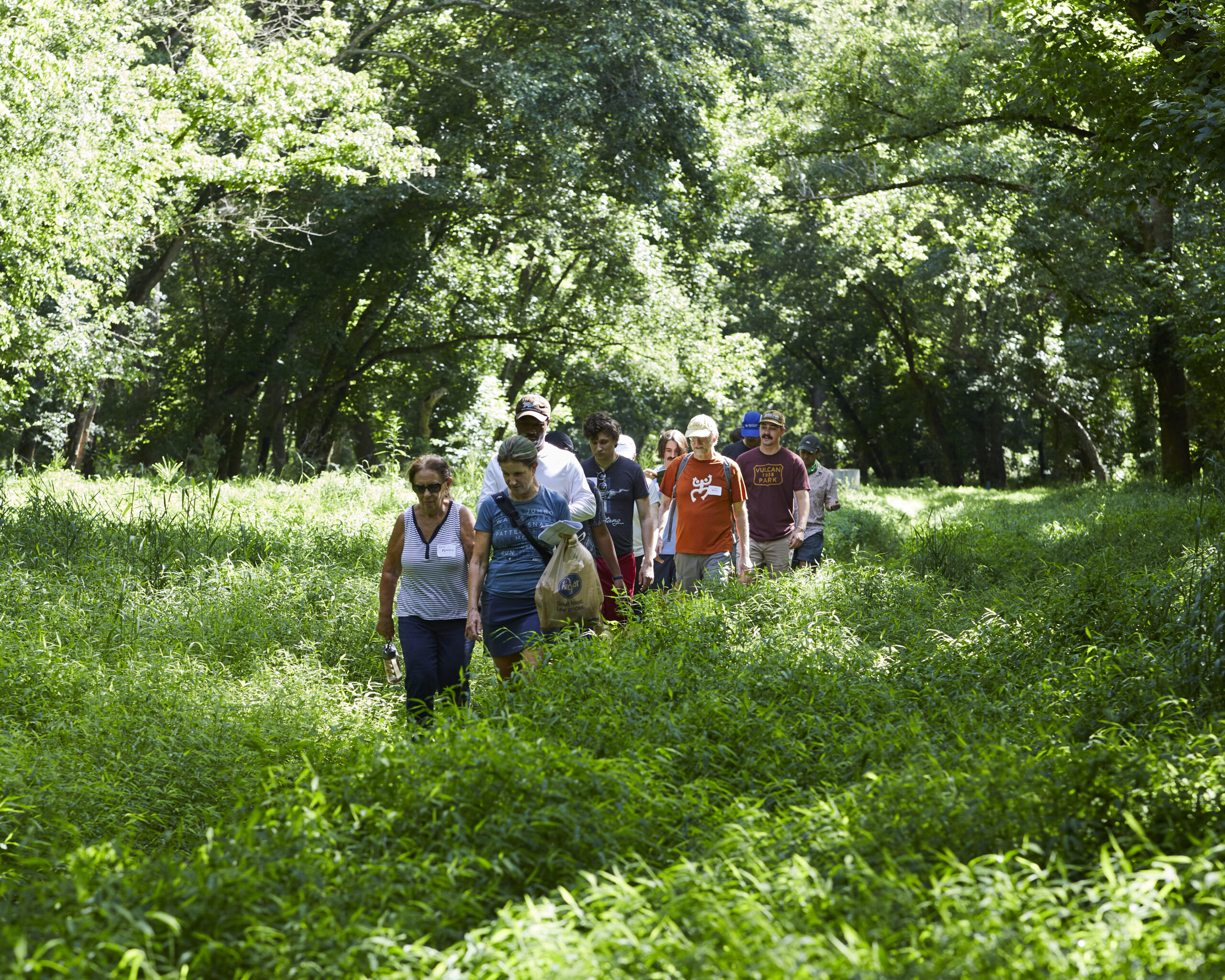 A group of people walking through a forest.