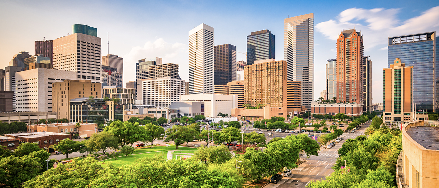 Houston, Texas city image