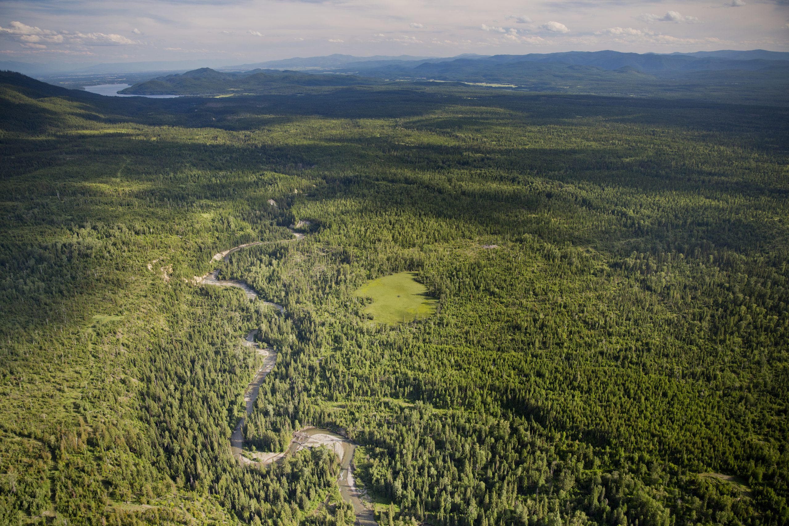 Aerial photo of a stream in a forest