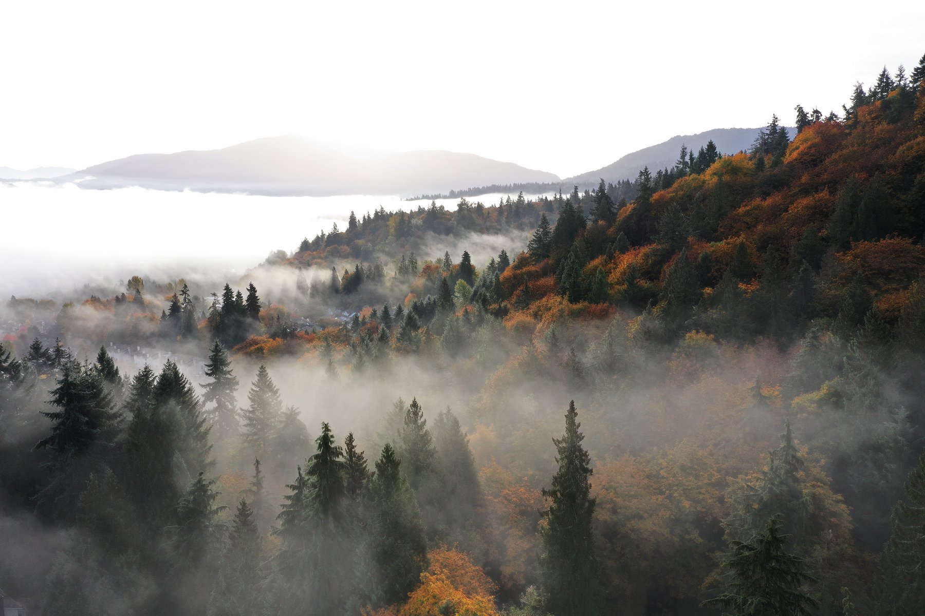 Aerial photo of an autumnal northwest mountainside with fog