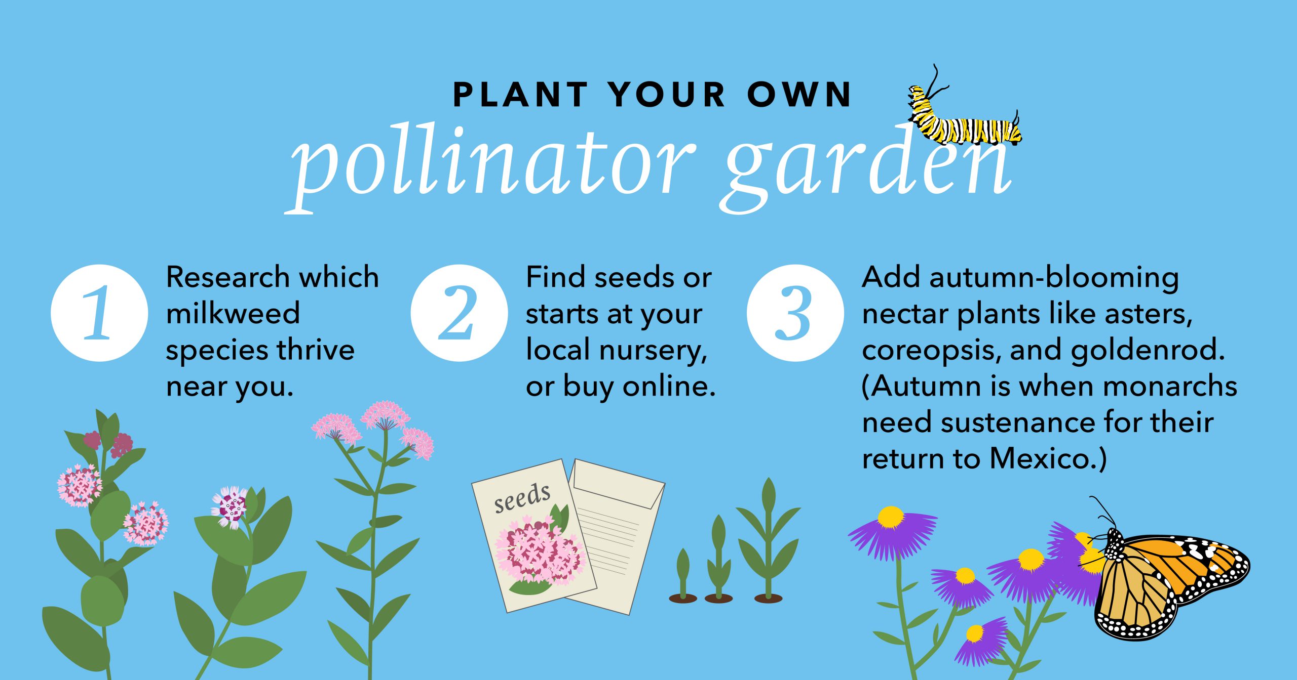 Information about planting a garden for pollinators