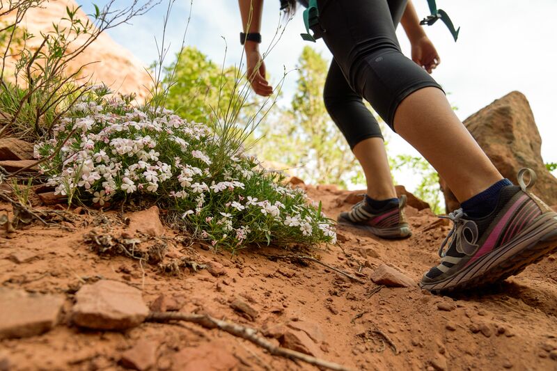 A person hiking up a rocky trail with flowers in the background.