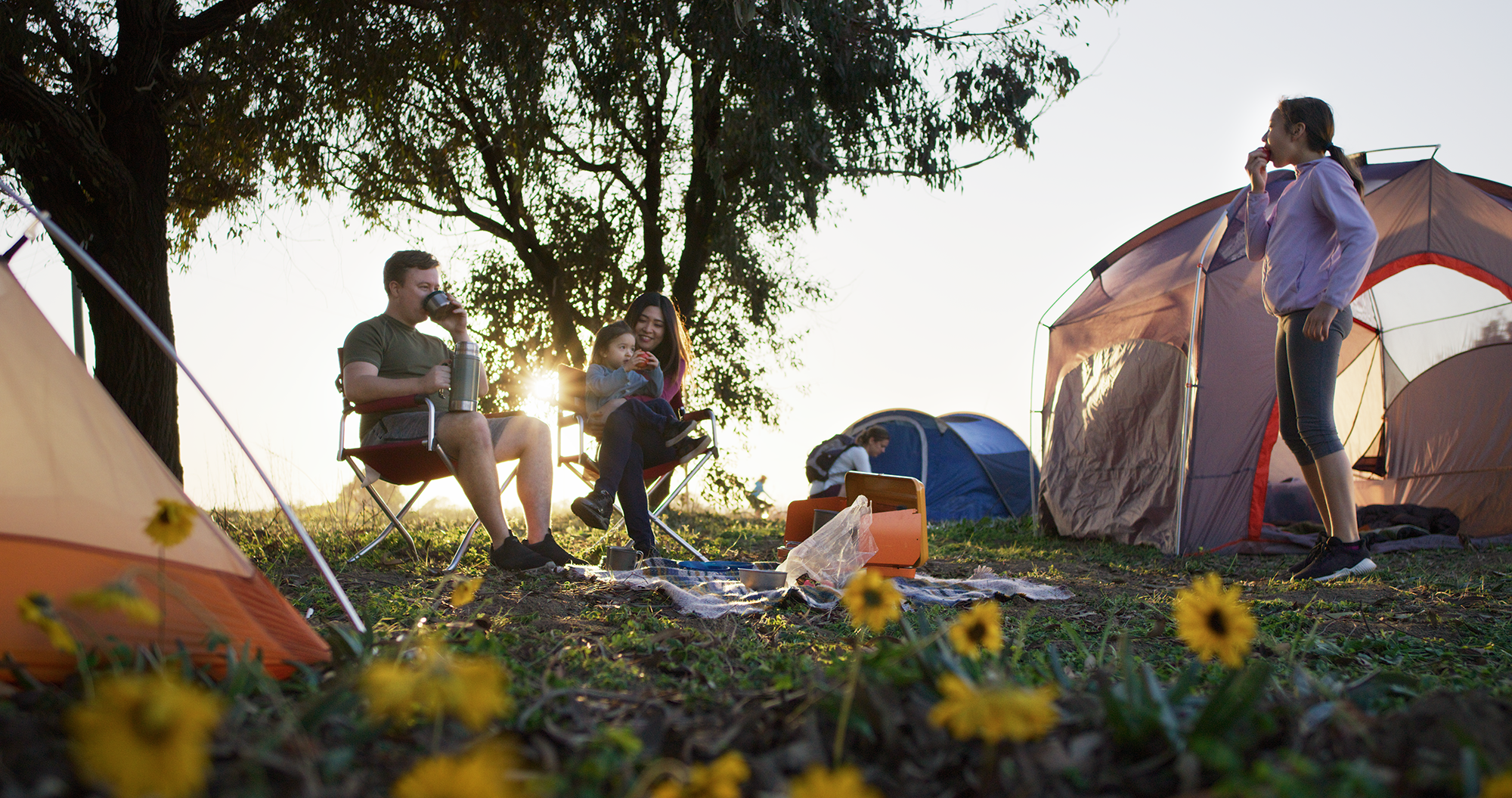 A group of people sitting around a tent with sunflowers in the background.