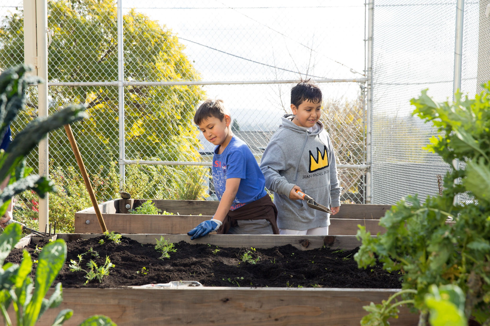 Two boys working in a raised garden bed.