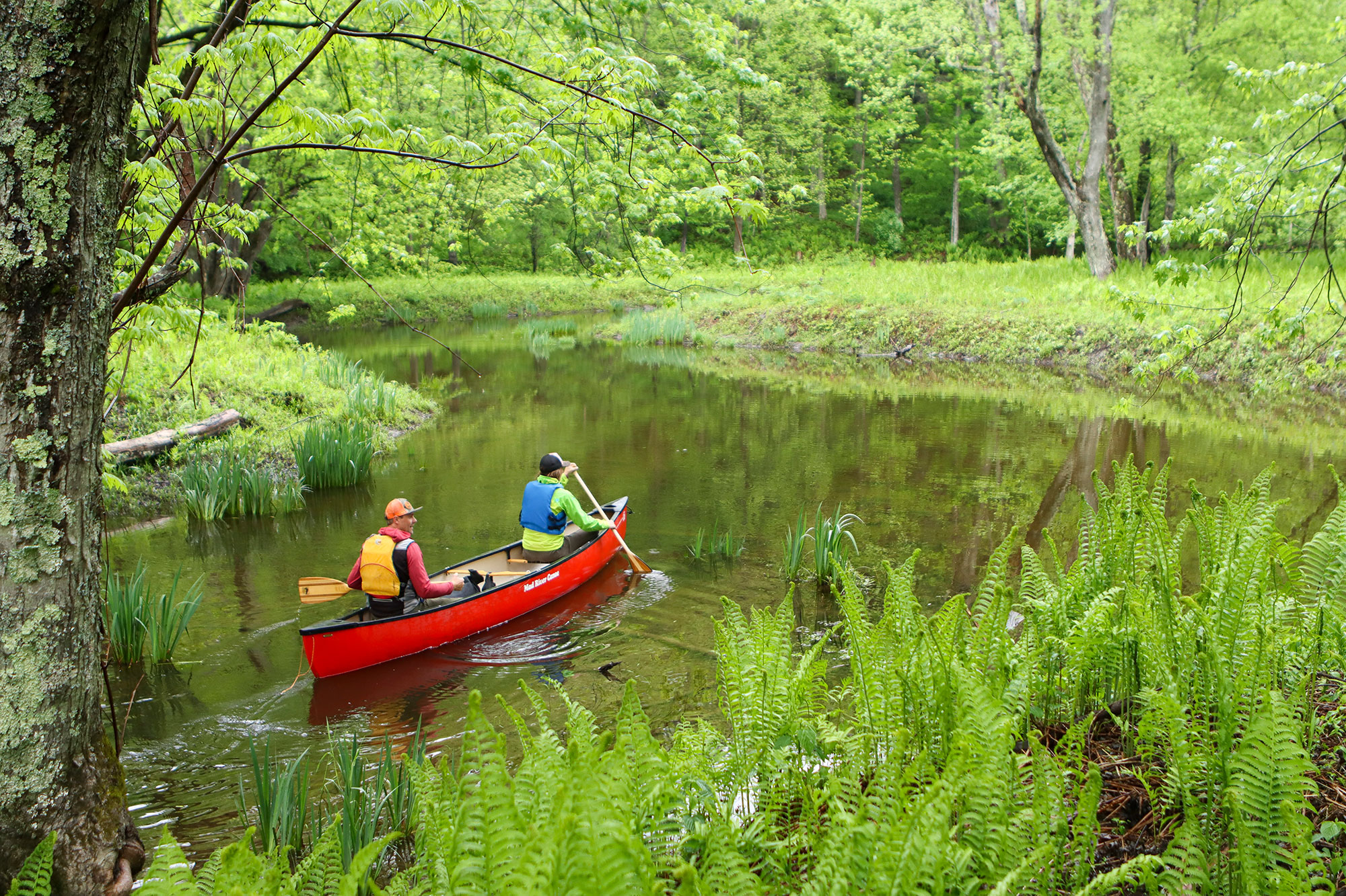 Two people paddling a red canoe in a green forest.