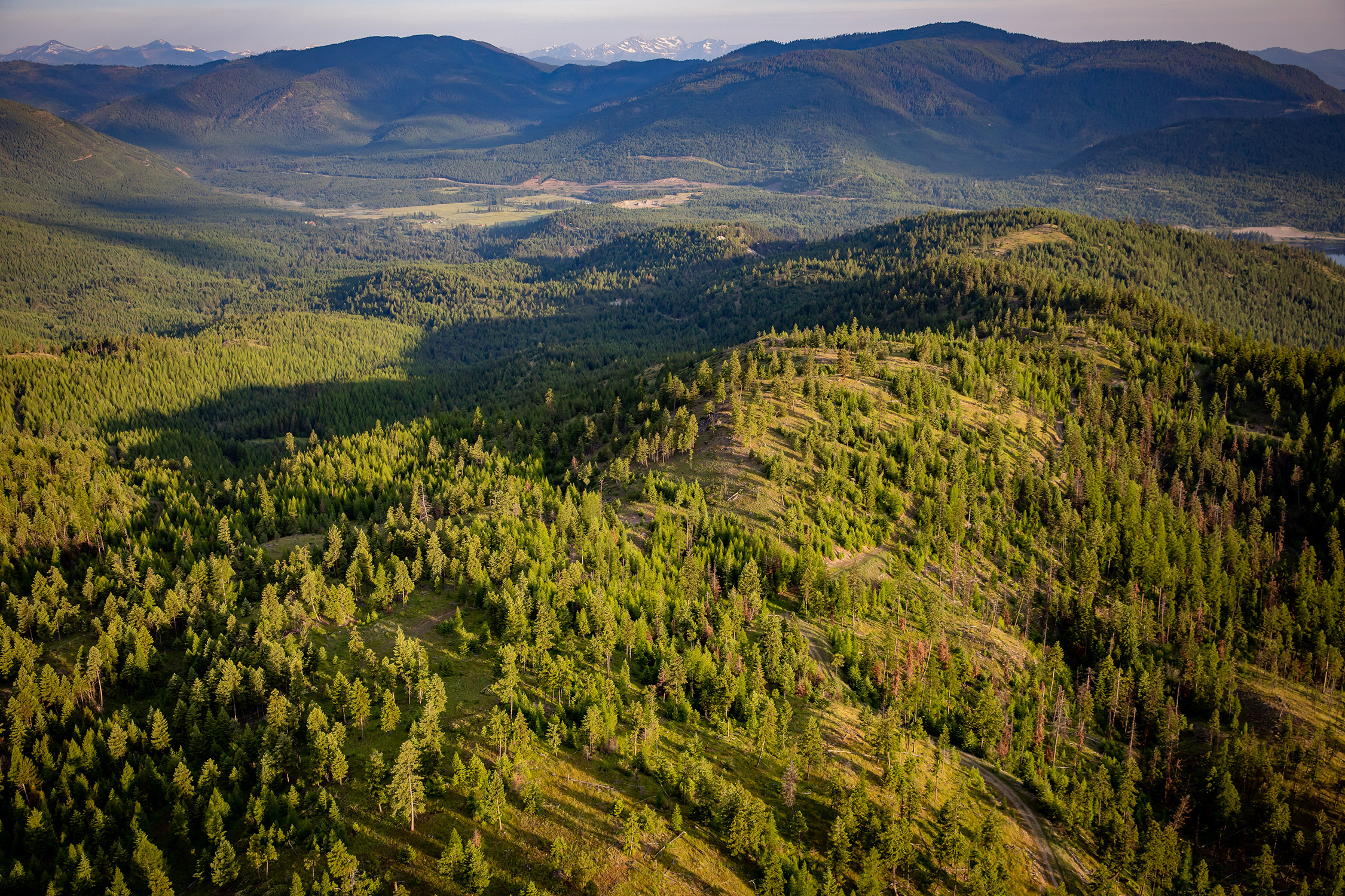 An aerial view of tree-covered mountains in Montana
