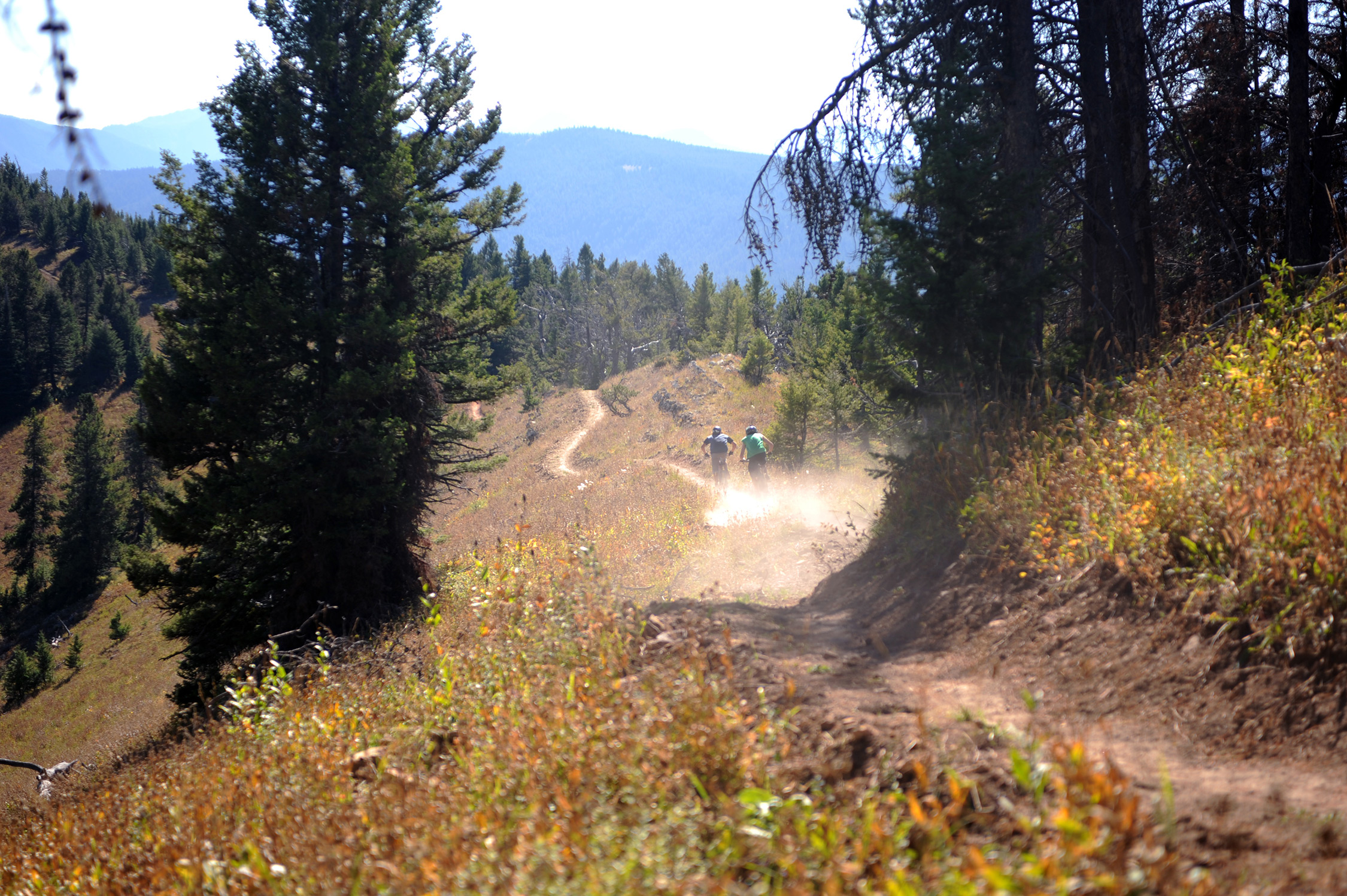 Two mountain bikers barrel down the Chestnut Mountain Trail in Bozeman, MT.