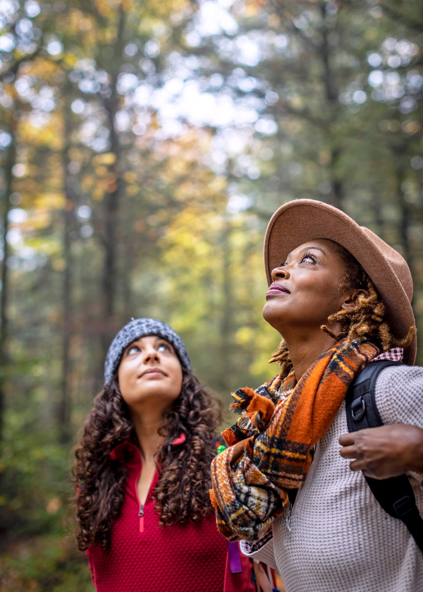 Two women looking up in the woods.