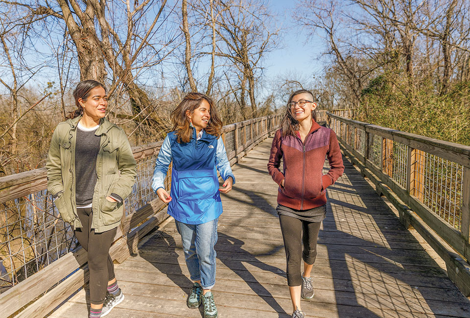 Three women walking on a wooden boardwalk in the woods.