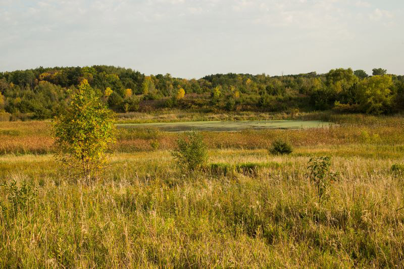 Circle Lake Wildlife Management Area featured image