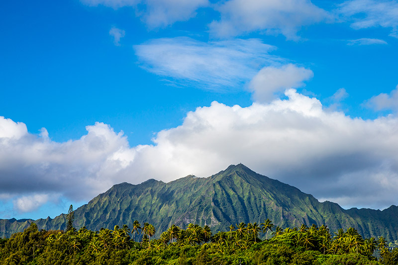 Kāneʻohe Pali to Loʻi featured image