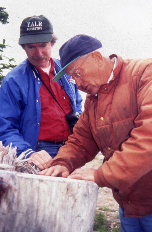 Jim Ellis and a forester count rings on a tree stump 