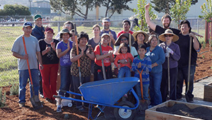 Canal Community Garden featured image