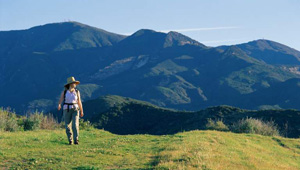 El Capitan Ranch featured image