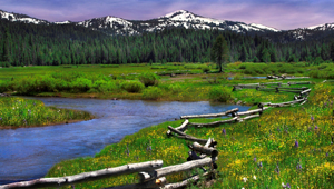 Perazzo Meadows featured image