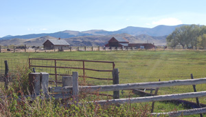 Saguache Hay Ranch featured image