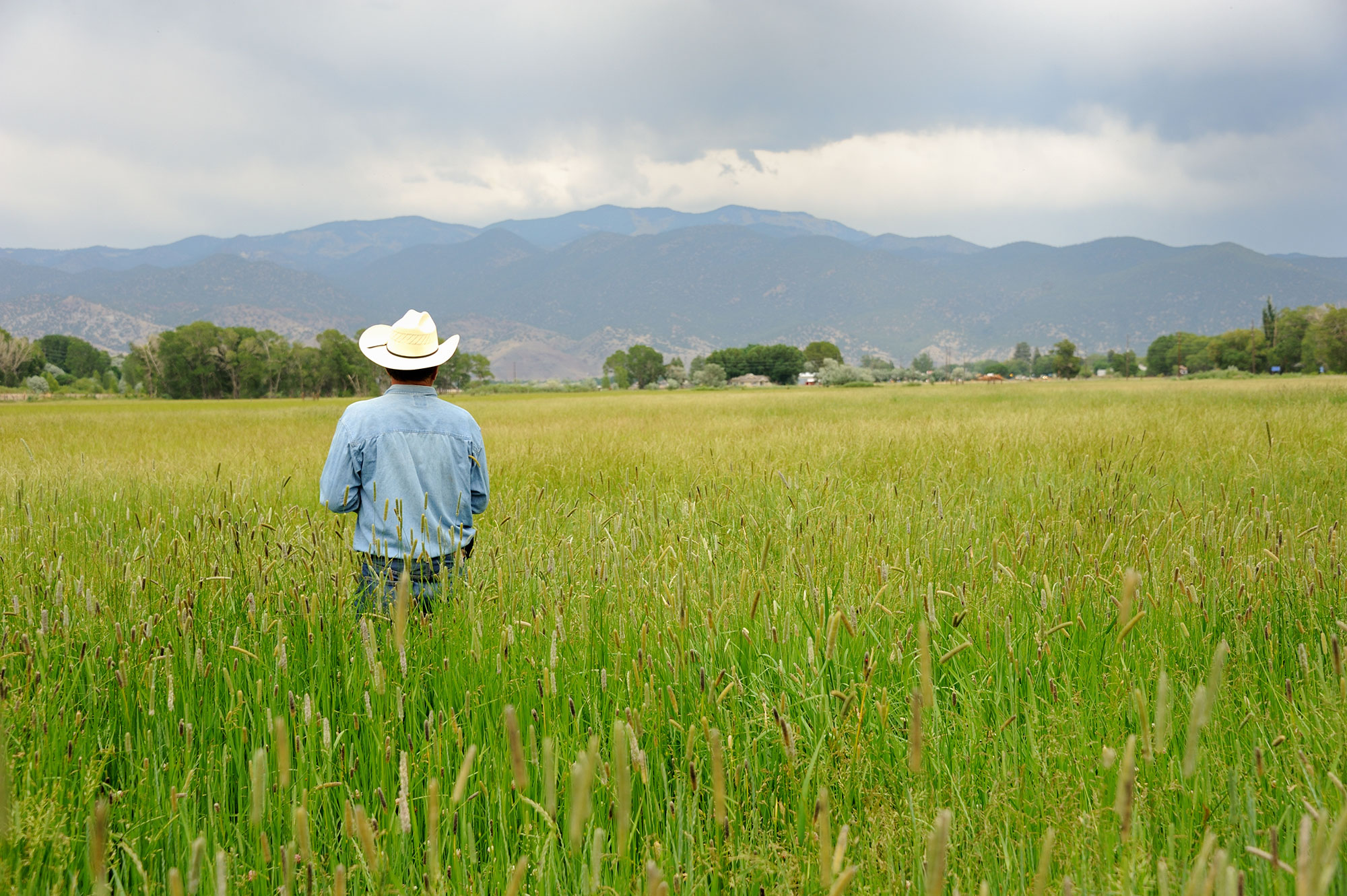 A man in a cowboy hat standing in a field.