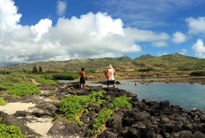 Ka Iwi Coast Mauka Lands featured image