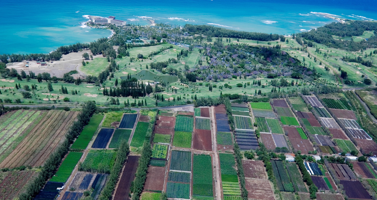 An aerial view of a farm and ocean.
