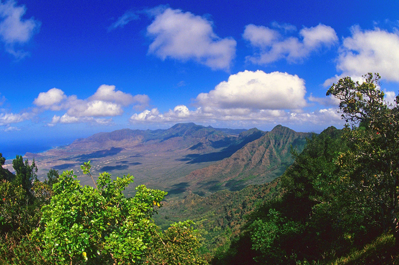 Honouliuli Forest Reserve featured image