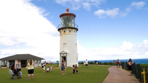 Kilauea Point featured image