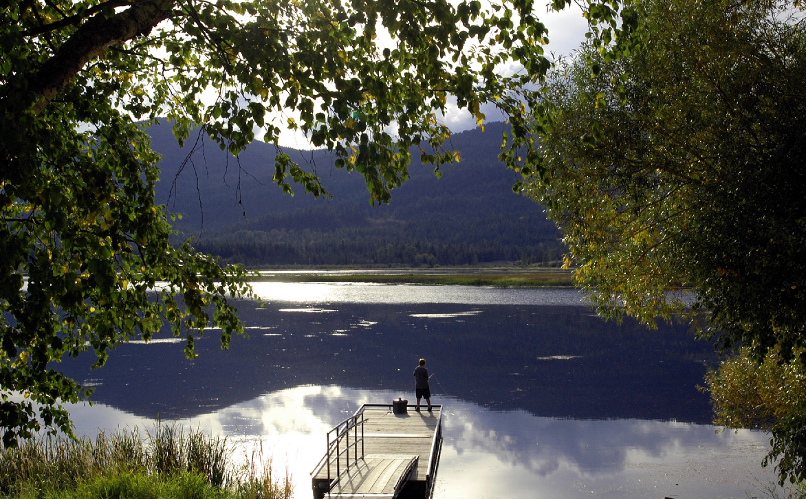 McArthur Lake featured image