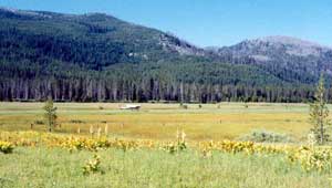Sulphur Creek Ranch featured image