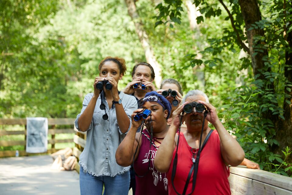 A group of people looking through binoculars in a wooded area.
