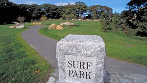 Surf Park featured image