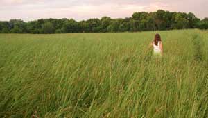 A woman walking through a field of tall grass.