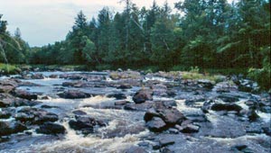 Chippewa Falls – Black River featured image